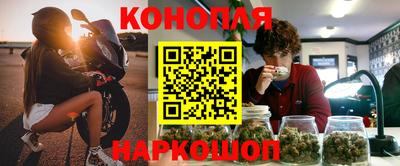 Альфа ПВП Будённовск