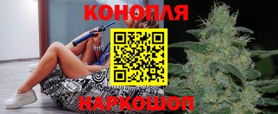 Альфа ПВП Будённовск