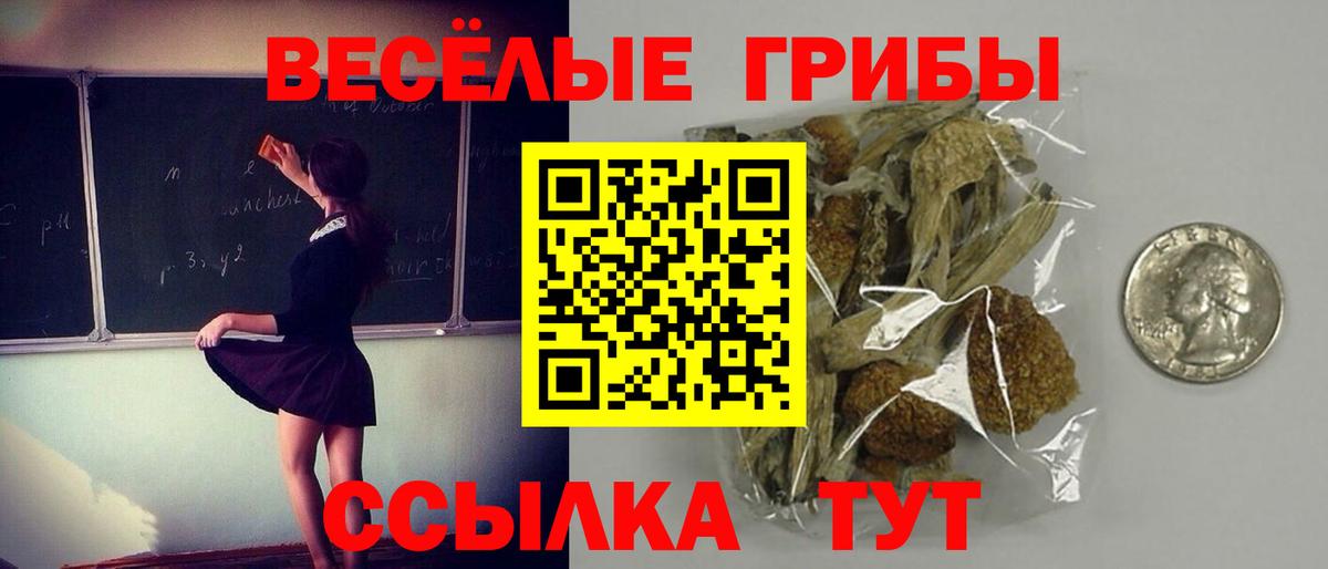 Усинск  Псилоцибиновые грибы MAGIC MUSHROOMS  Вход с VPN 